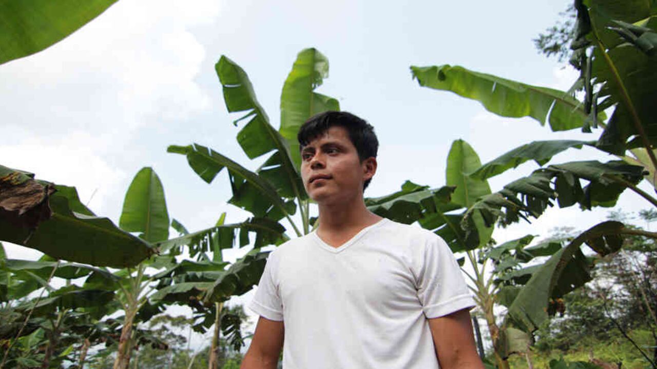 Que los hijos trabajen la tierra de sus padres impulsará el rejuvenecimiento del campo colombiano.