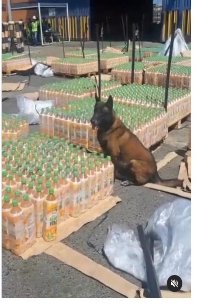 En varias ocasiones fue amenazado por el Clan del Golfo y por eso fue trasladado a varias ciudades.