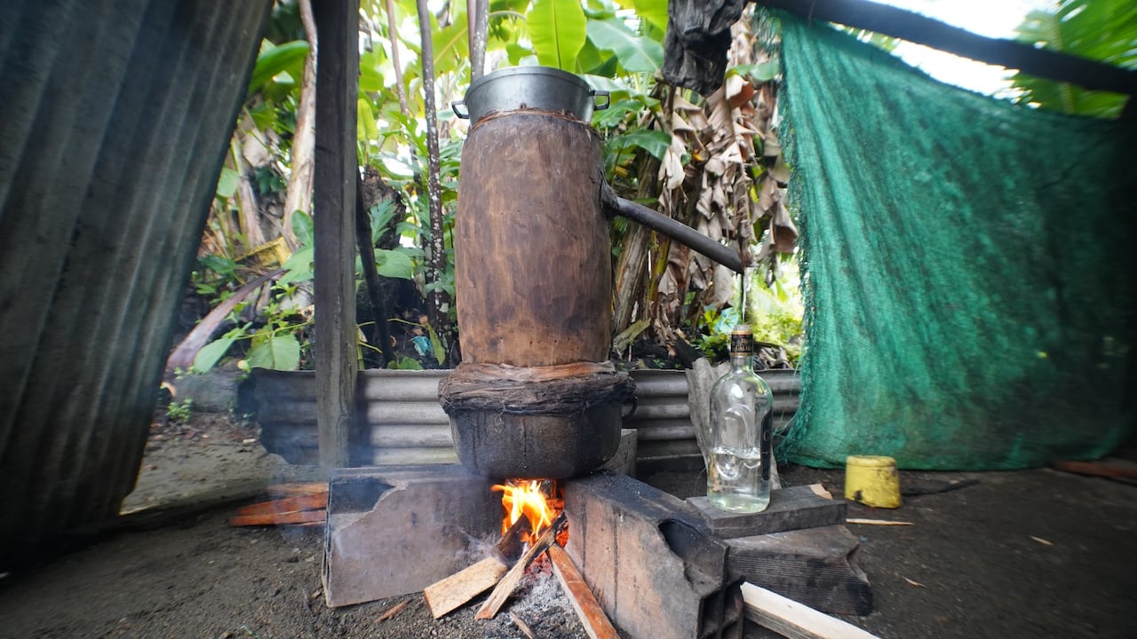 Elaboración del viche en Piliza, Chocó.