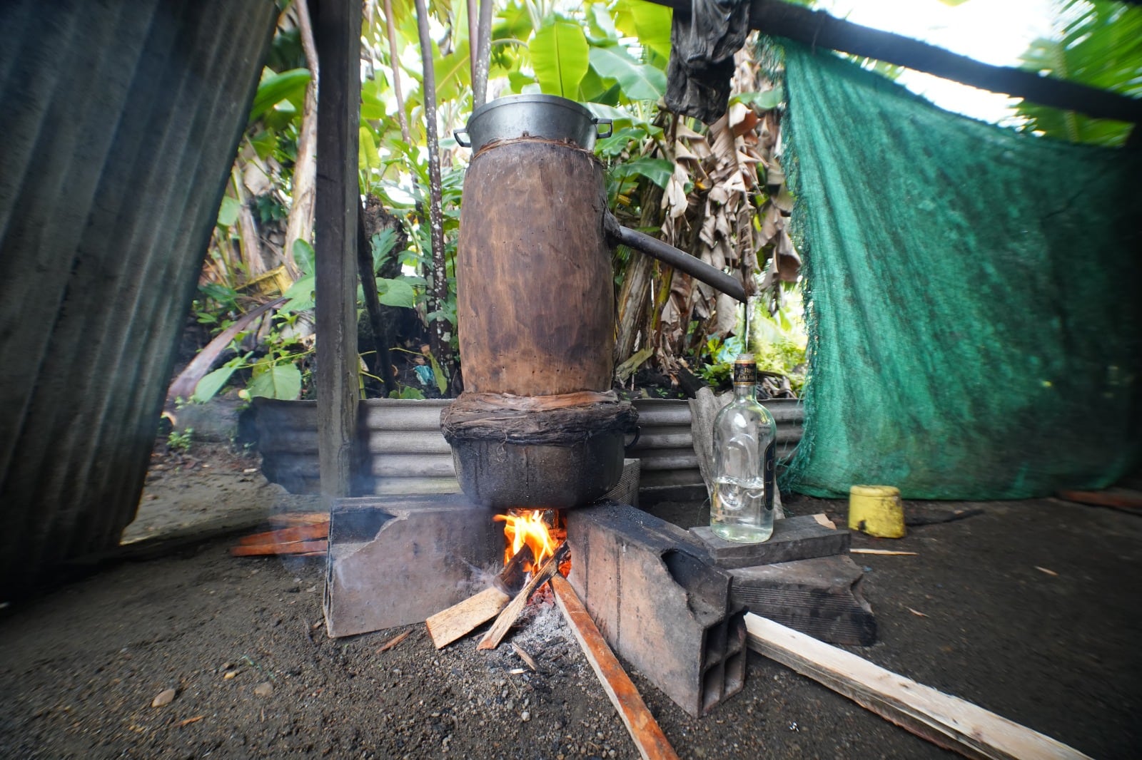 Elaboración del viche en Piliza, Chocó.