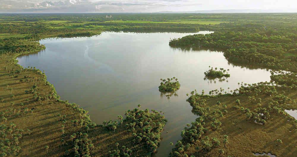 Grupo Bosch destaca que en todos sus procesos la sostenibilidad ha sido clave para alcanzar metas en preservación del medio ambiente (Imagen de referencia)
