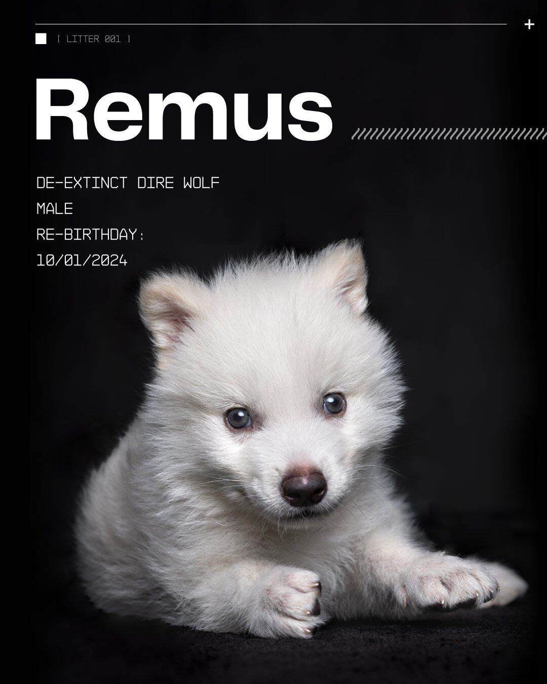 Nacido de un embrión modificado genéticamente, Remus desafía los límites de la ciencia actual.