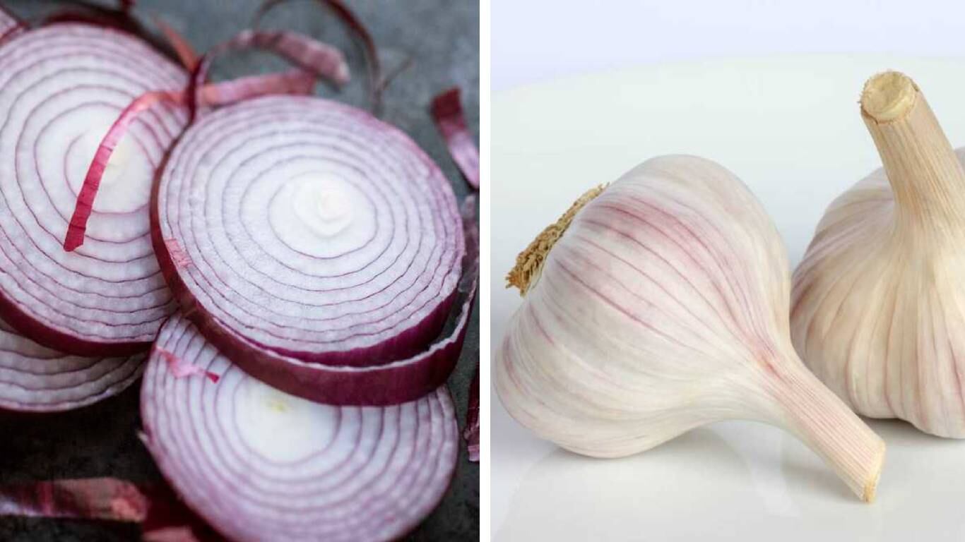 La sopa de cebolla y ajo es rica en  vitaminas, minerales y antioxidantes. Foto: Getty images montaje SEMANA.