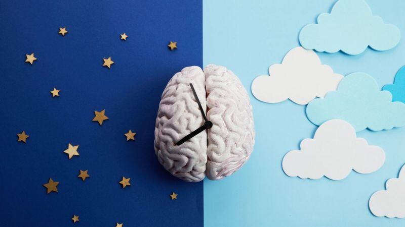 Esta condición confunde al cerebro, debido a que le no le permite distinguir lo real de ficticio.