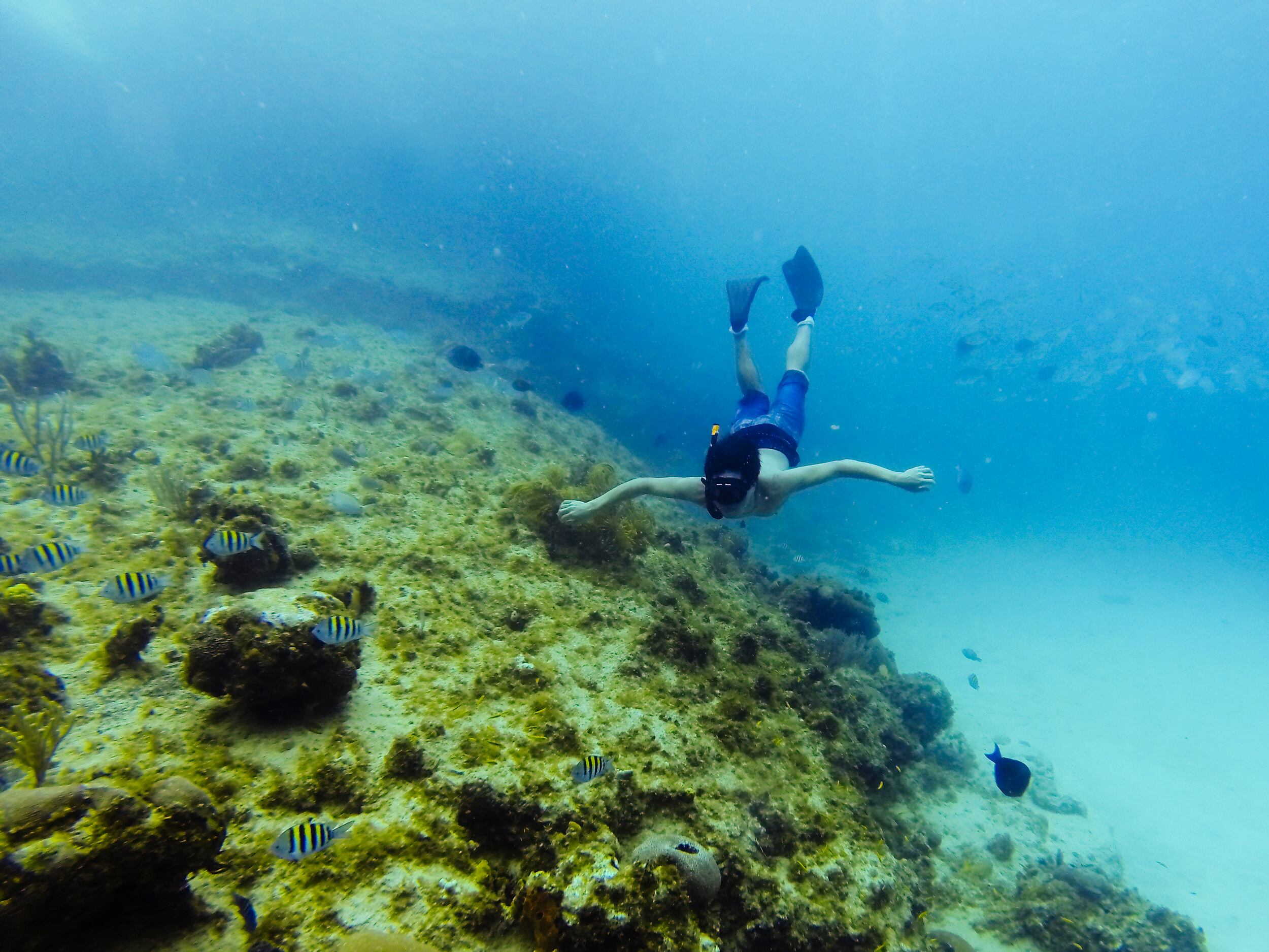 Especial Turismo, San Andrés, Mejor Colombia