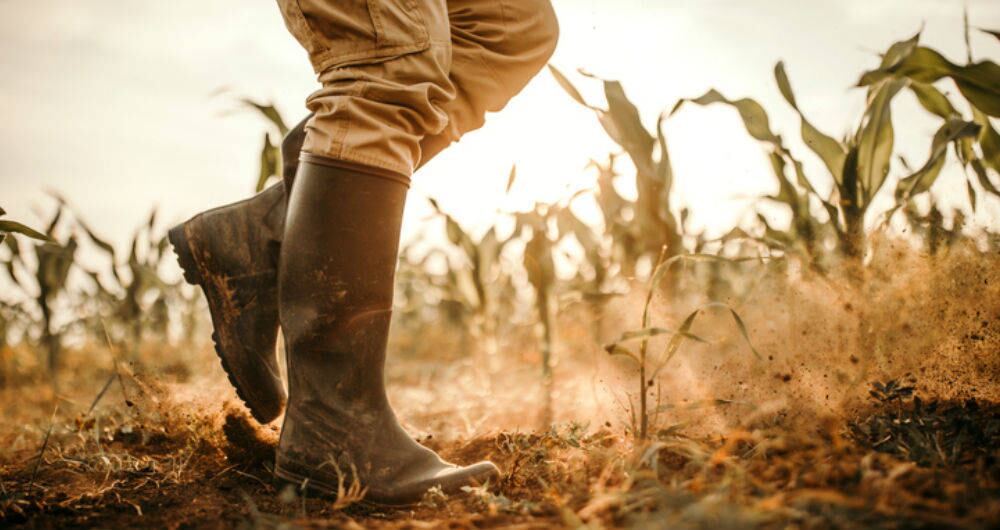 En Colombia existen 2,7 millones de productores rurales. Además, 63,5 % de los productores residentes en área rural en el país son pequeños.