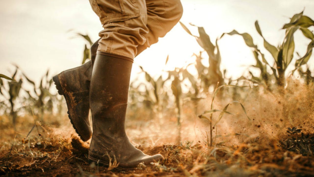 En Colombia existen 2,7 millones de productores rurales. Además, 63,5 % de los productores residentes en área rural en el país son pequeños.