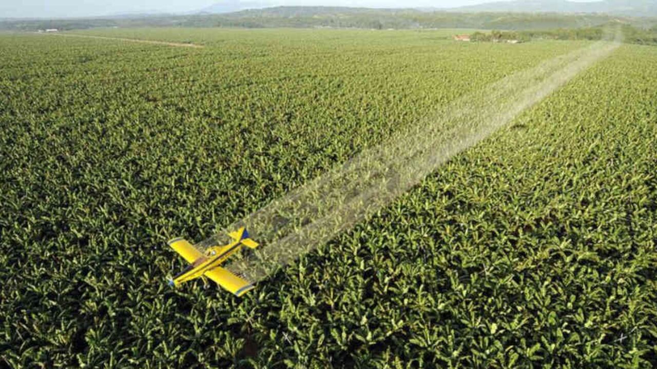 Los pesticidas altamente peligrosos siguen siendo una importante fuente de ingresos para las principales industrias agroquímicas.