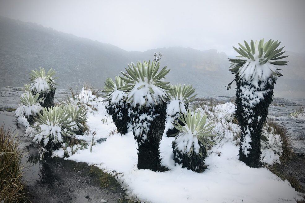 Volvió a nevar en parque El Cocuy