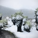 Volvió a nevar en parque El Cocuy