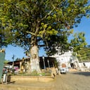 Angostura es un municipio ubicado en el norte del departamento de Antioquia.