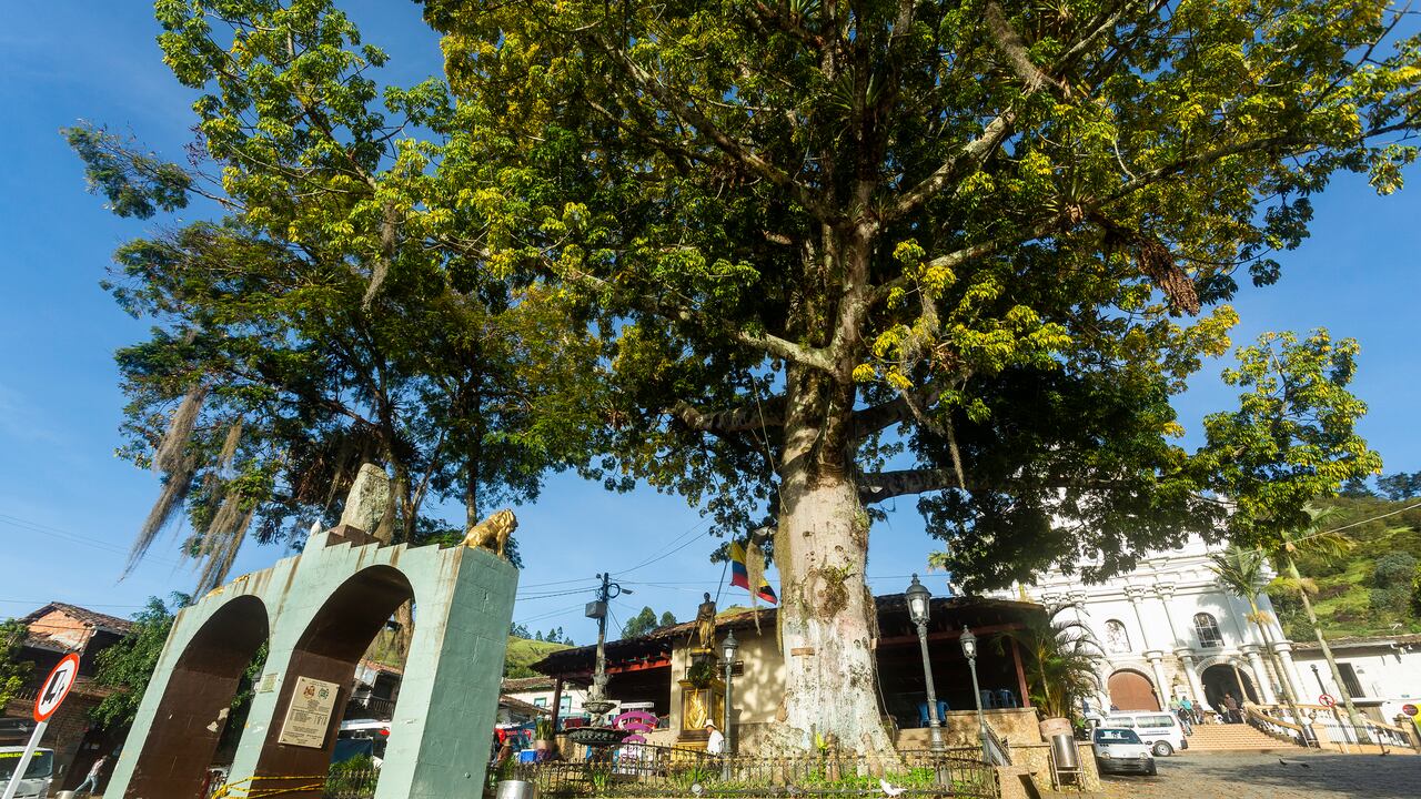 Angostura es un municipio ubicado en el norte del departamento de Antioquia.