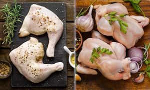 Pollo blanco vs pollo amarillo