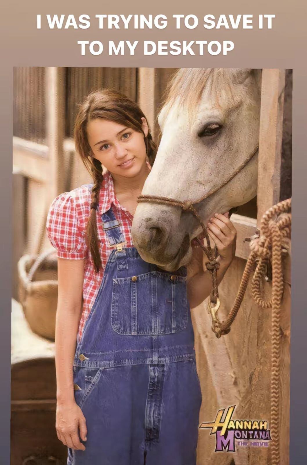 La mujer estaba tratando de guardar la foto en el escritorio de su computador perola pegó en la hoja de vida