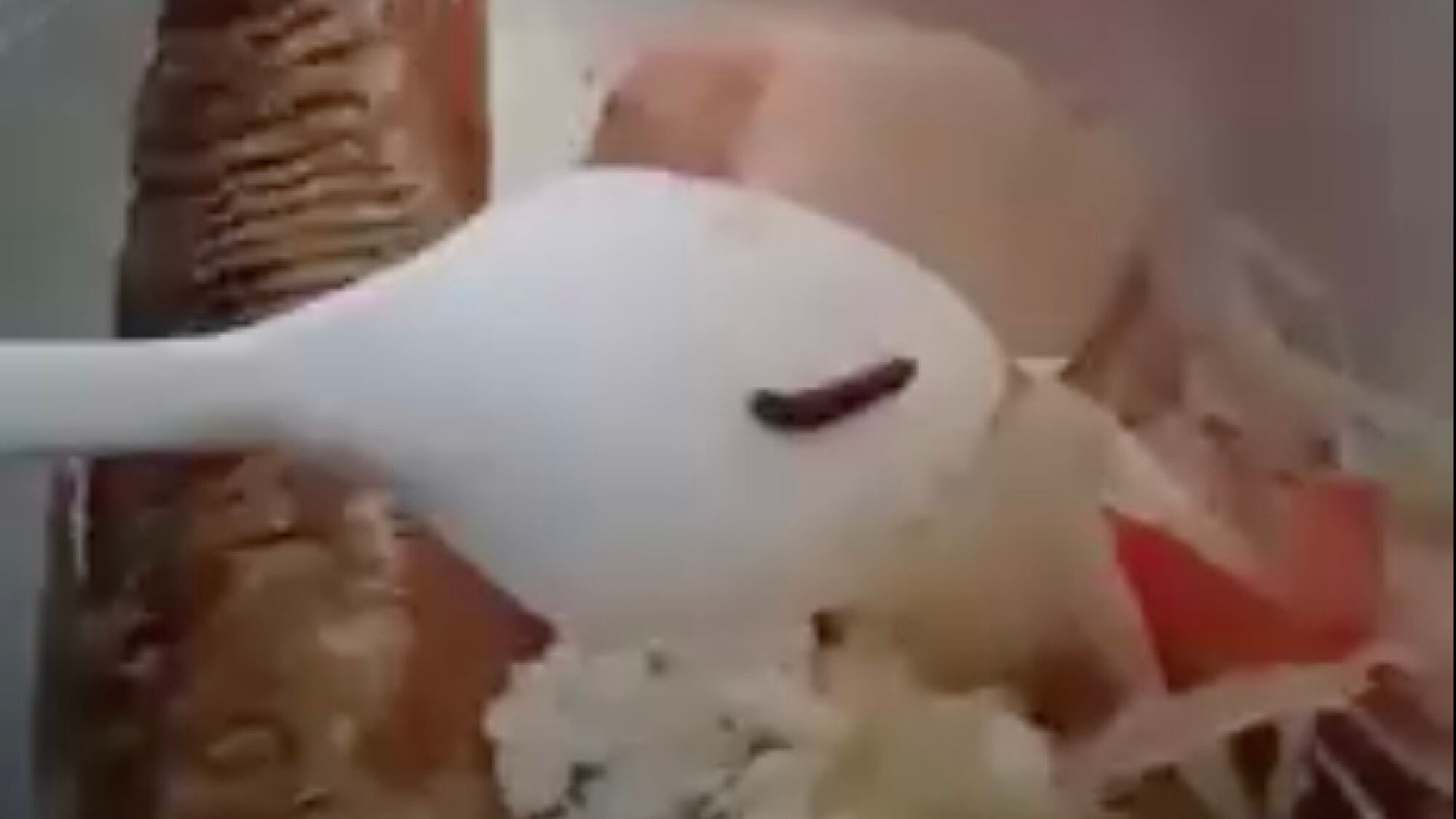 gusano en la comida de un preso