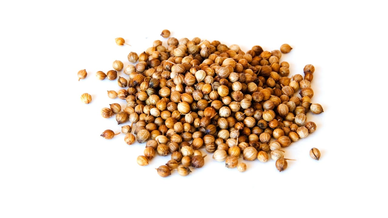 Las semillas de cilantro, llamadas también coriandros, son un pequeño fruto de color marrón amarillento.