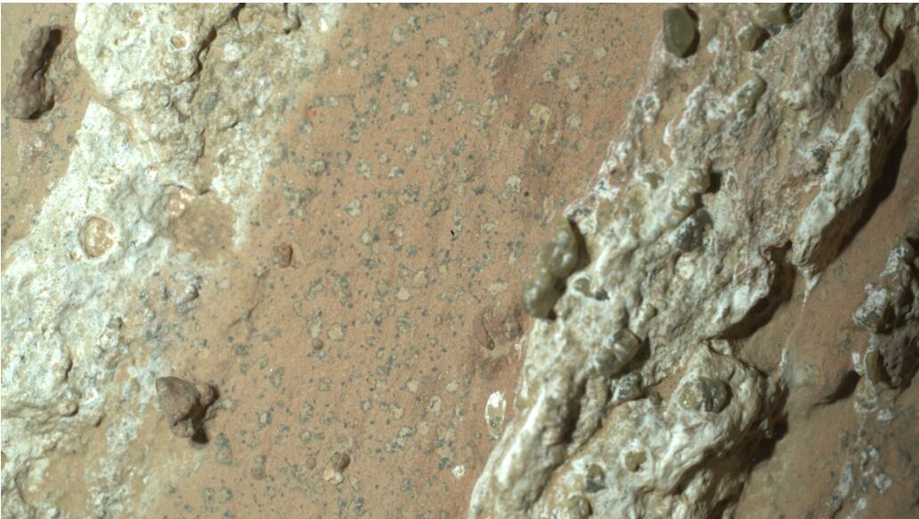 Una roca de la formación Bright Angel mostró minerales que refuerzan la hipótesis de organismos primitivos.