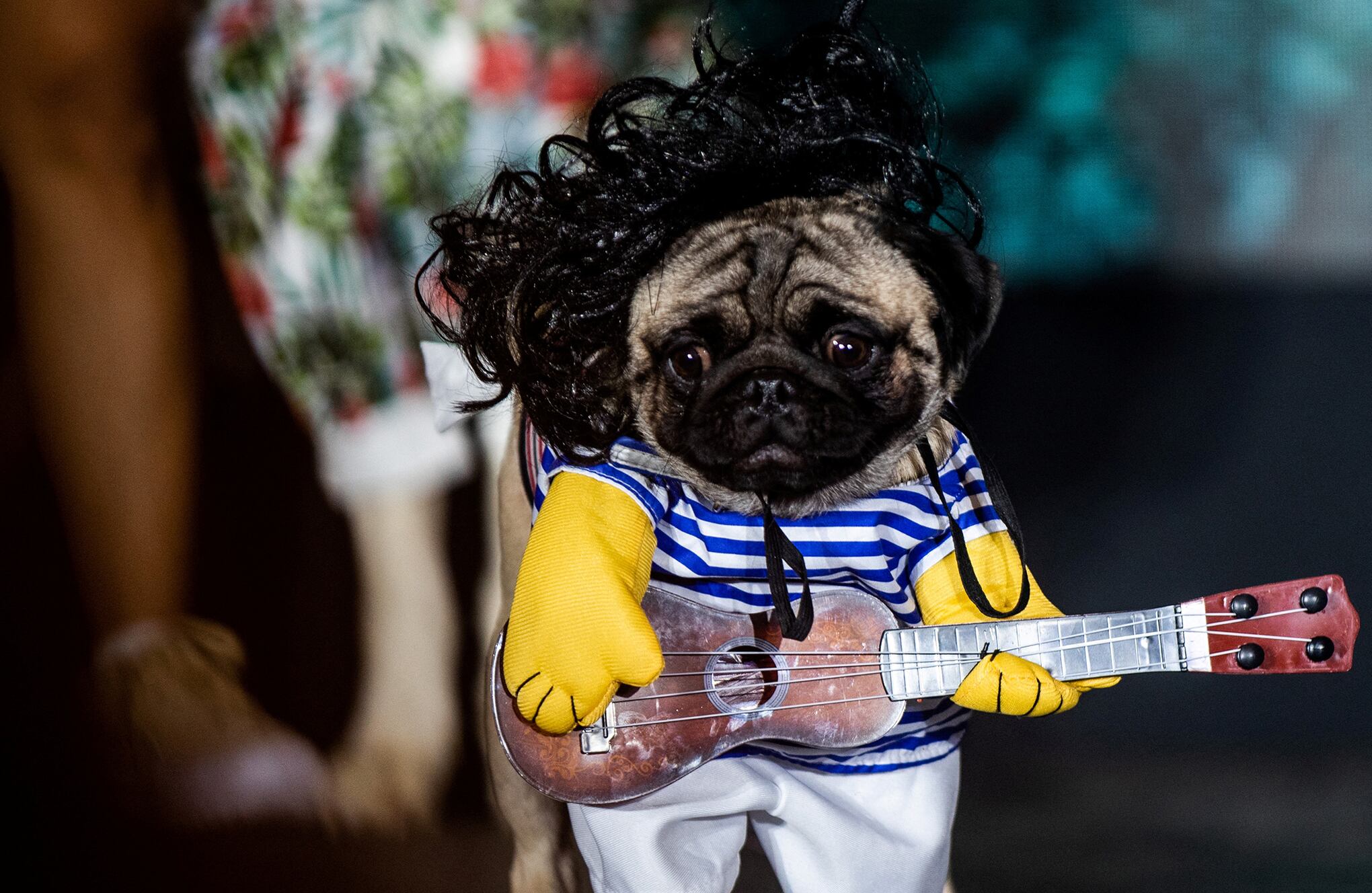 En imágenes : así se vivio el Halloween en el mundo