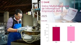 Informalidad empresarial en Colombia llegó a 87,5%