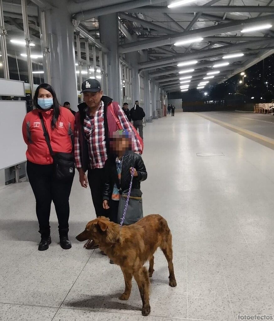 Conmovedor encuentro entre un niño y su perro perdido en TransMilenio.