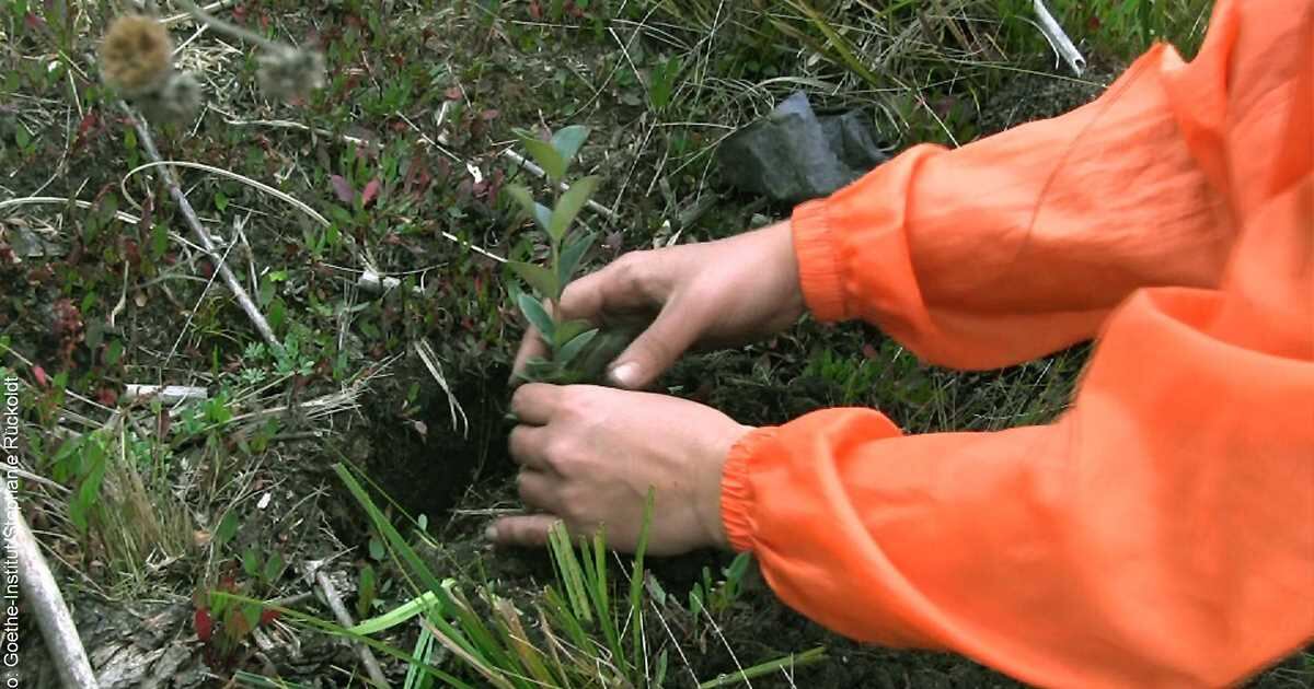 Cortesía: Goethe Institut Colombia