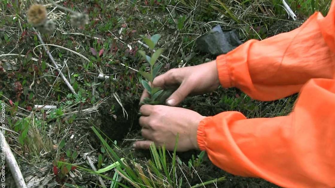 Cortesía: Goethe Institut Colombia