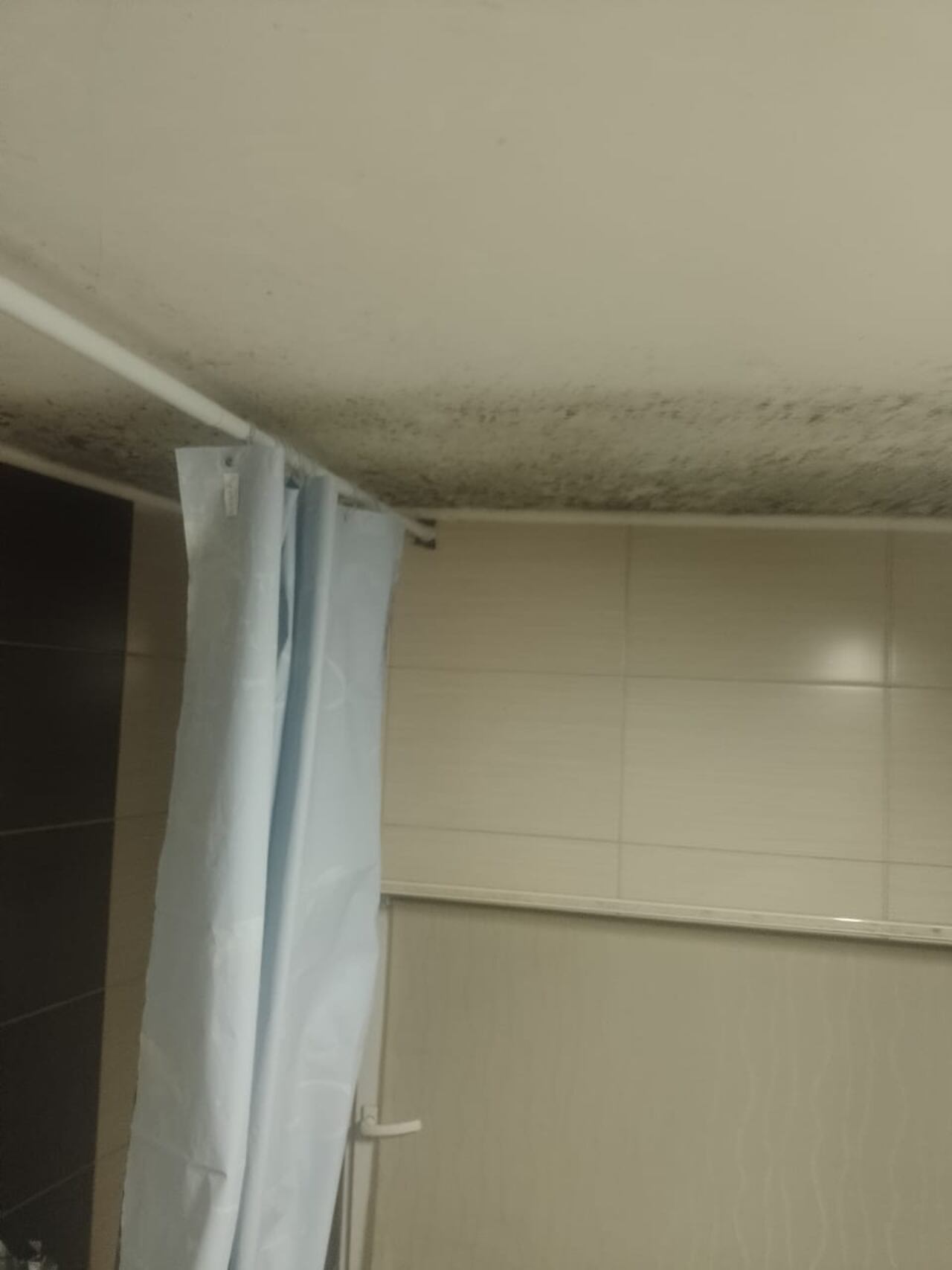 El interior de la casa donde habita un grupo de colombianos, en Lezno, territorio polaco (Leźno en polaco)