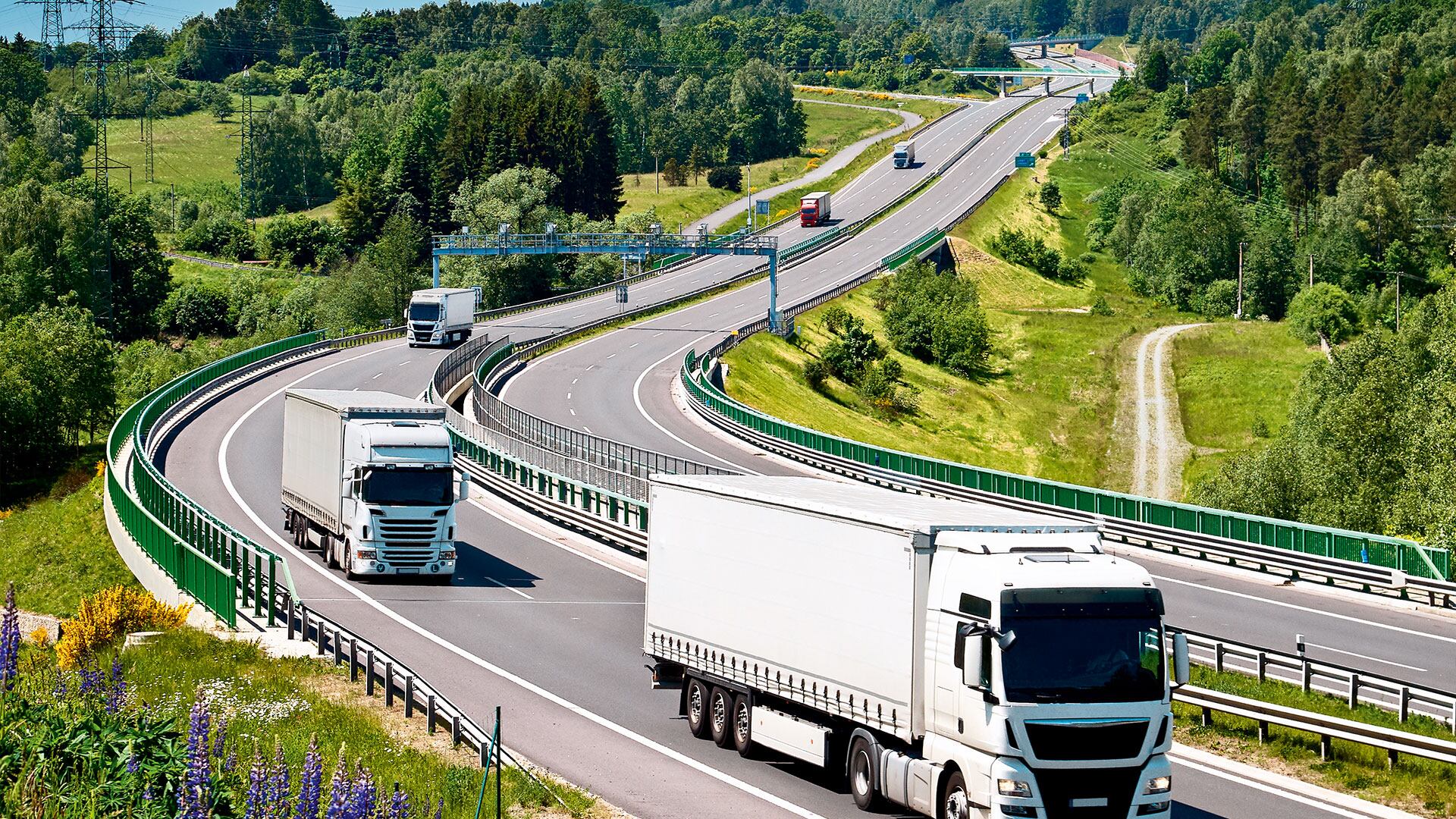 Evitar los desperdicios de alimentos y adaptarse a la infraestructura colombiana, los retos.