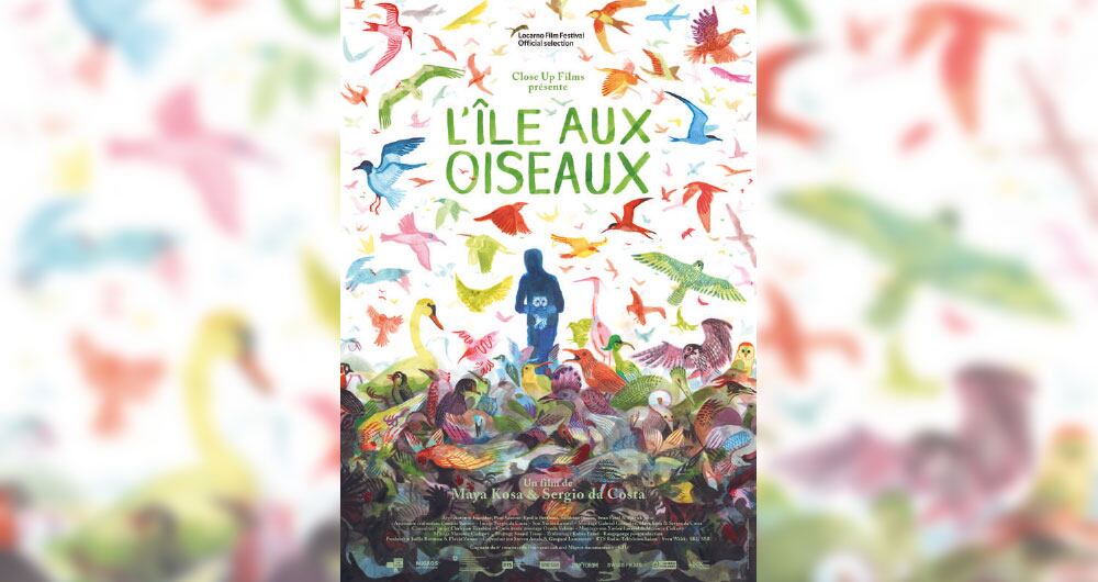 Animales de compañía_2