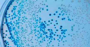 Las 9 preguntas para entender la nueva cepa del coronavirus que llega a Latam