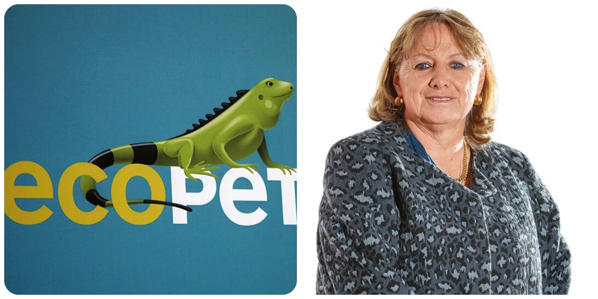 Mónica de Greiff era presidenta de la junta de Ecopetrol y renunció. La empresa aceptó la dimisión.