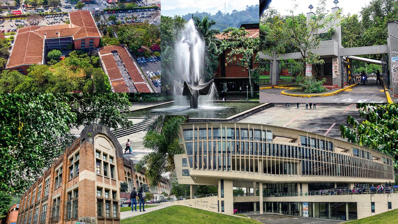 “Es que cada universidad arrastra sus propias complejidades; una de esas es el tema financiero y estructural, que limita e impide avanzar en las necesidades de los territorios del país”.