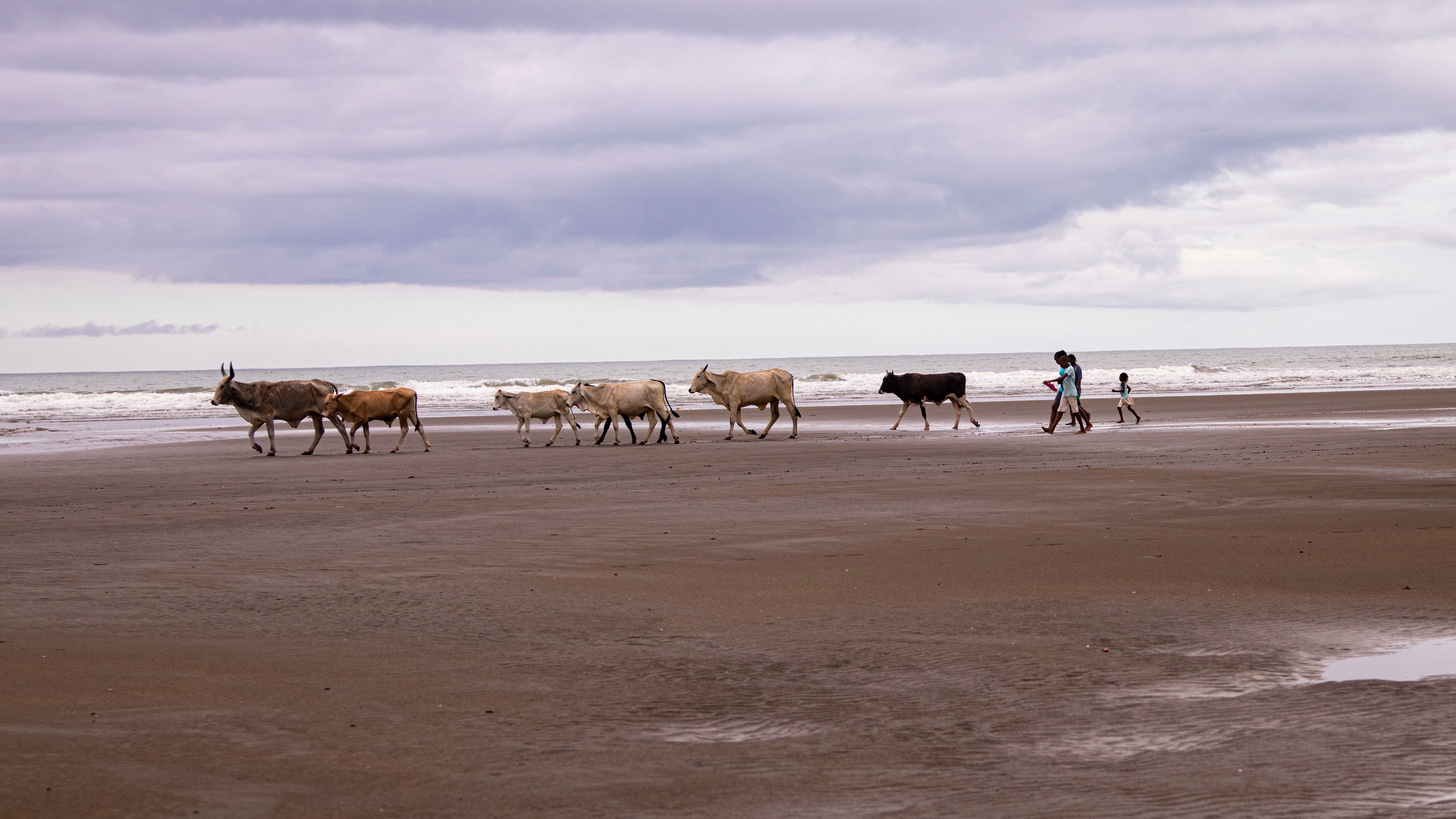 De esta inversión, 45 mil millones de pesos serán aportados por el Gobierno nacional a través de Fontur.