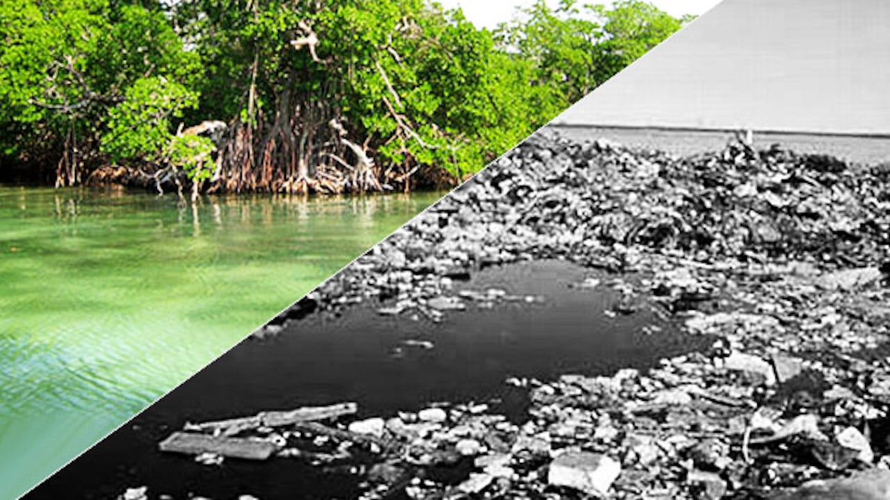 La isla de plástico que recorre el Océano Pacífico sigue creciendo y los esfuerzos para disminuir su superficie han sido mínimos.