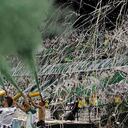 El impresionante recibimiento que le hizo su hincha a Atlético Nacional en el Estadio Atanasio Girardot. Fotografía: Pablo Monsalve/SEMANA.