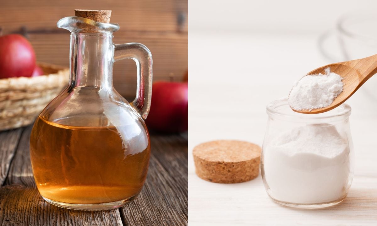 El vinagre de manzana y el bicarbonato no se deben consumir en exceso.