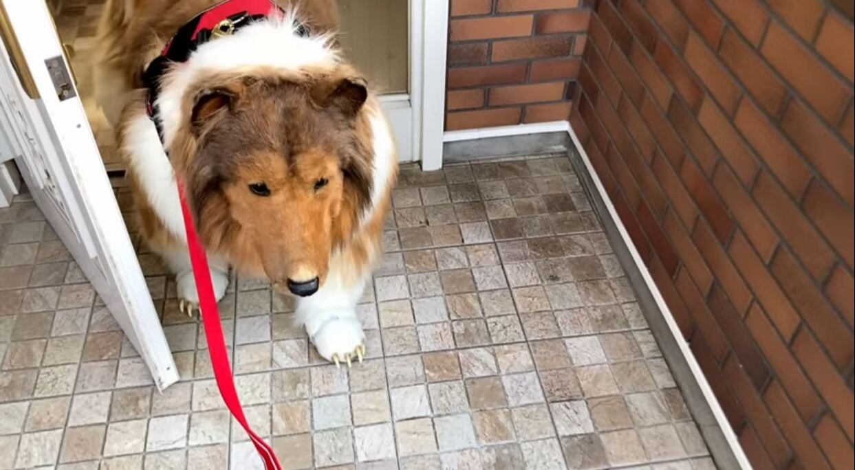 El hombre-perro sale a dar su paseo diario fuera de casa para respirar aire puro