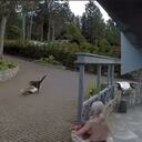 La valentía de la mujer fue reconocida en las plataformas digitales.