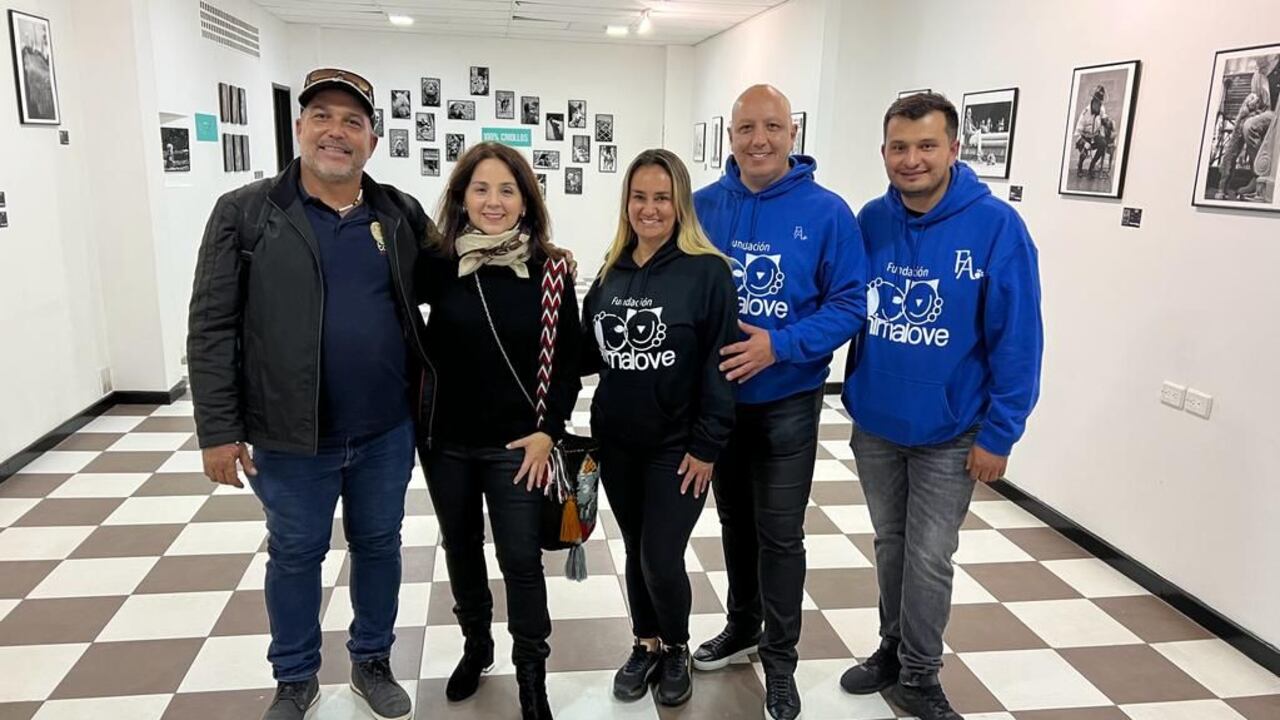 'Mi otro yo', evento con sentido social para los perros abandonados. Del 21 al 25 de noviembre.