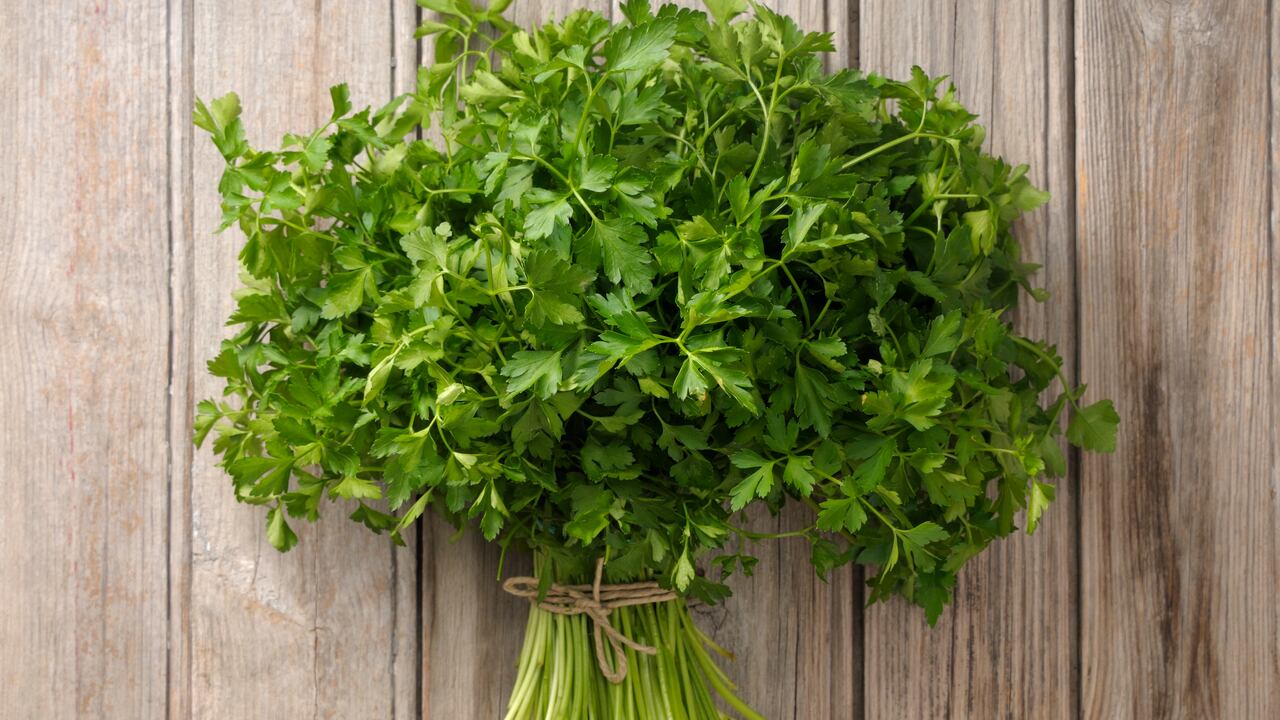 El perejil es una planta a la que se le atribuyen grandes cualidades diuréticas que estimulan la función renal, ya que facilita la eliminación de líquido del organismo, previniendo retención de líquidos y obesidad.
