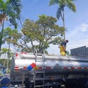 Dalo en un tubo de agua en Pereira