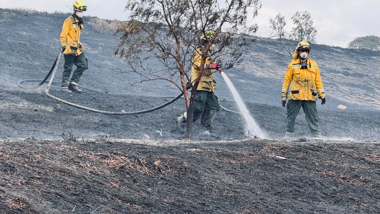 Después de varias horas, los bomberos lograron controlar el incendio en Bosa.