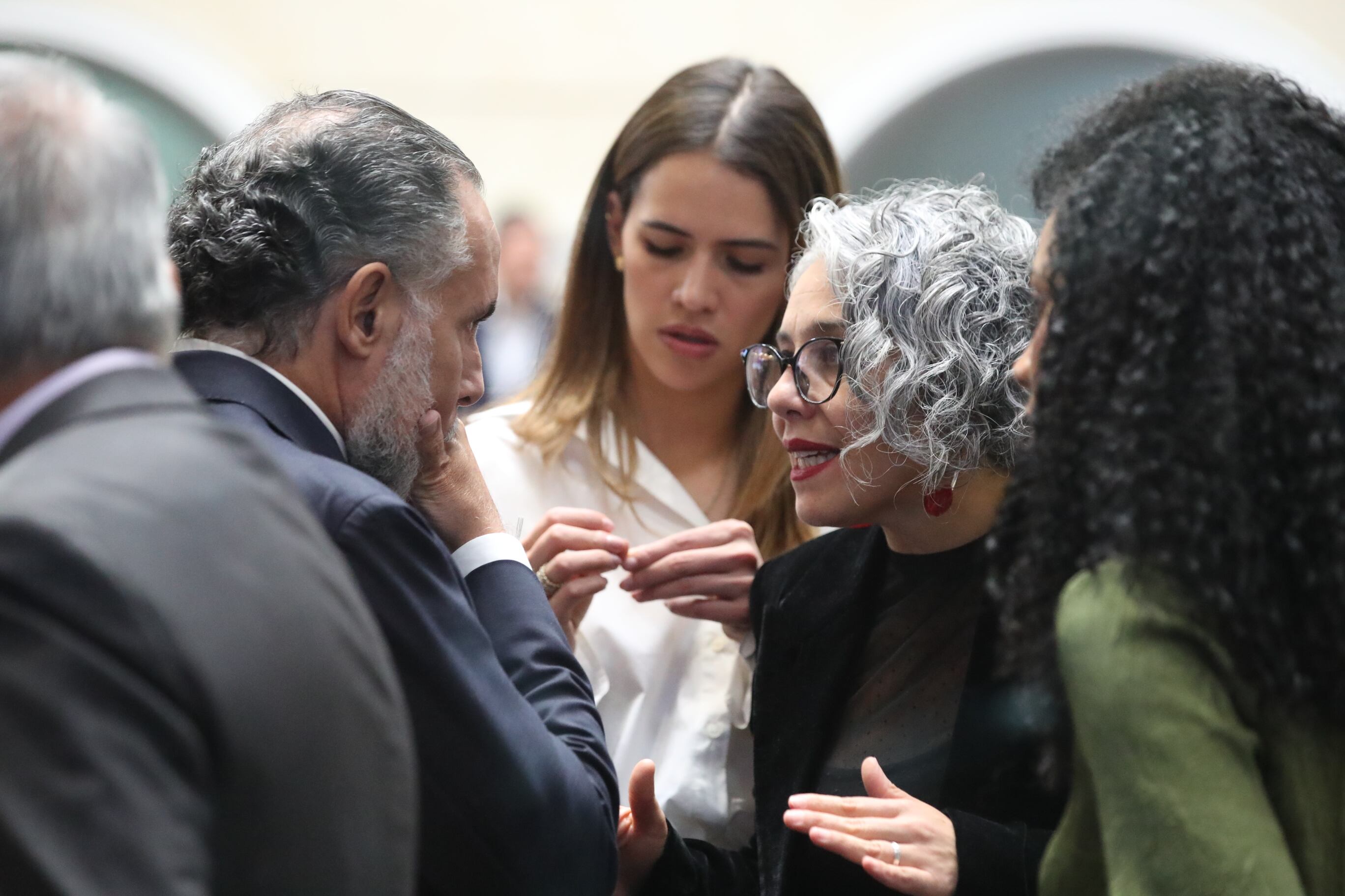 Plenaria Senado, Consulta Popular