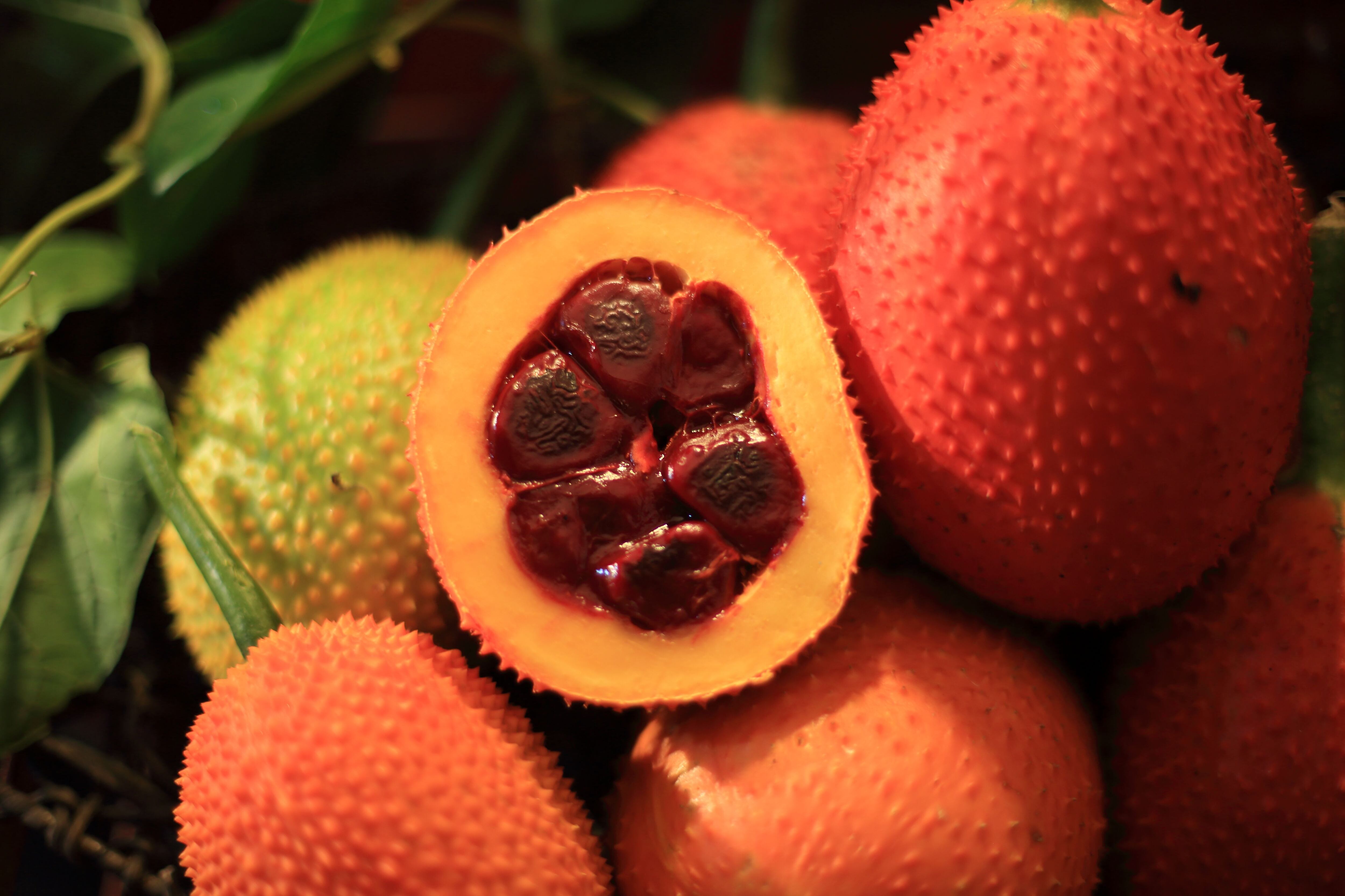A closeup shot of a Gac fruit, cut in half and revealing its ripe, vibrant red and orange flesh
