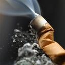 El cigarrillo ha matado a más personas que el sida, el alcohol y los accidentes de tránsito juntos.