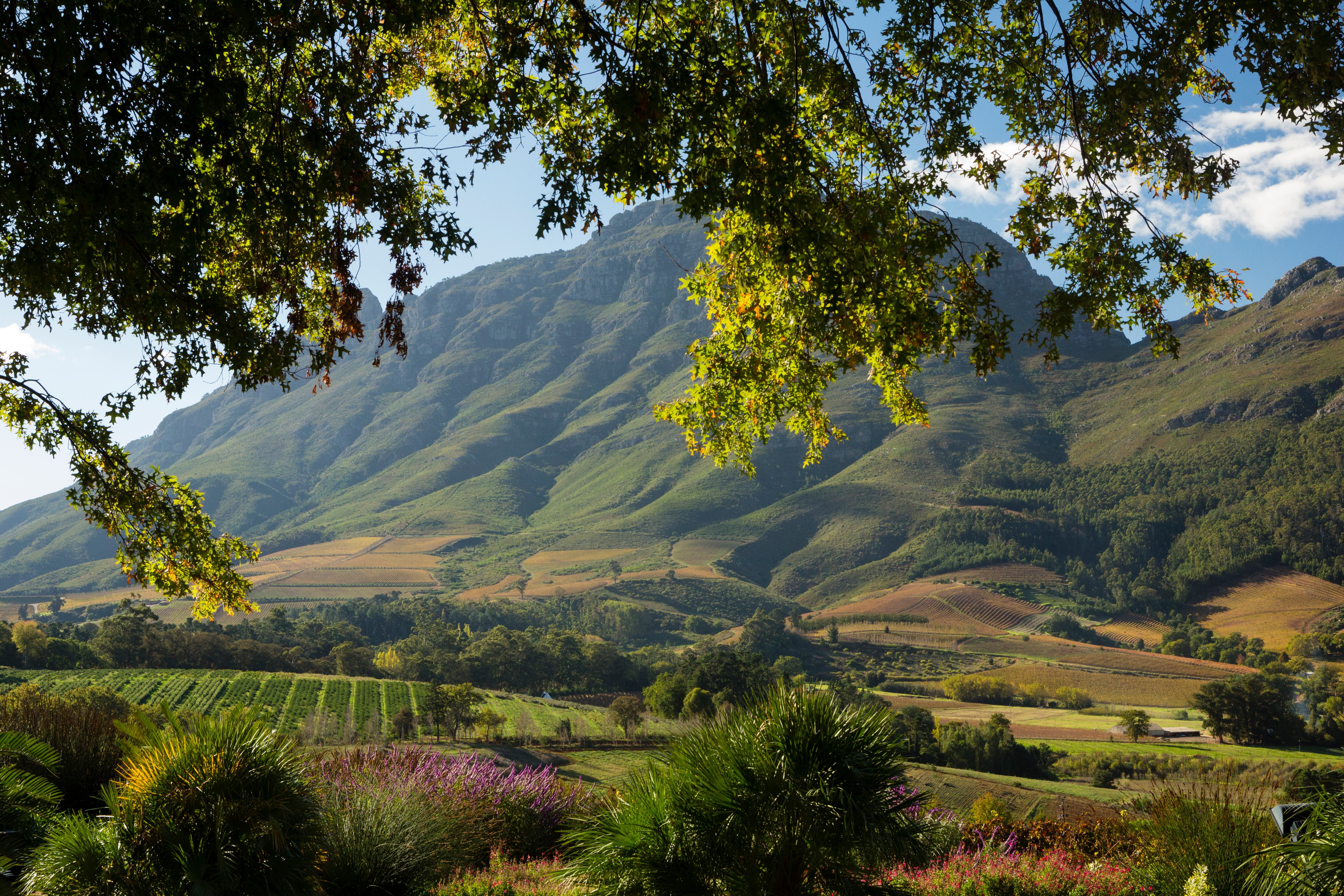 Los destinos de tendencia para los viajeros Millennials y de la generación Z: conozca los lugares que más atraen a los jóvenes