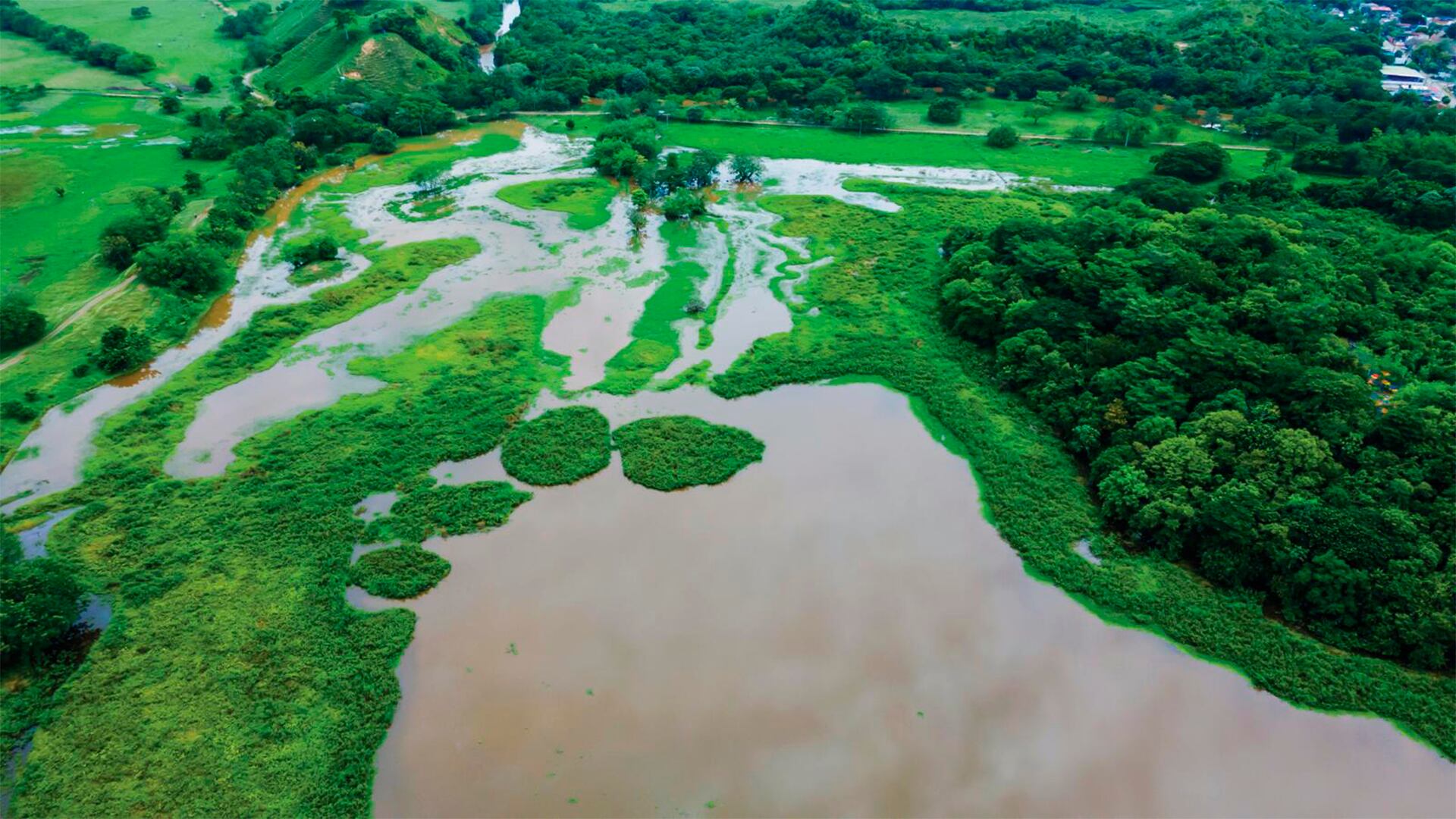 Contenido Comfama, Semana Sostenible