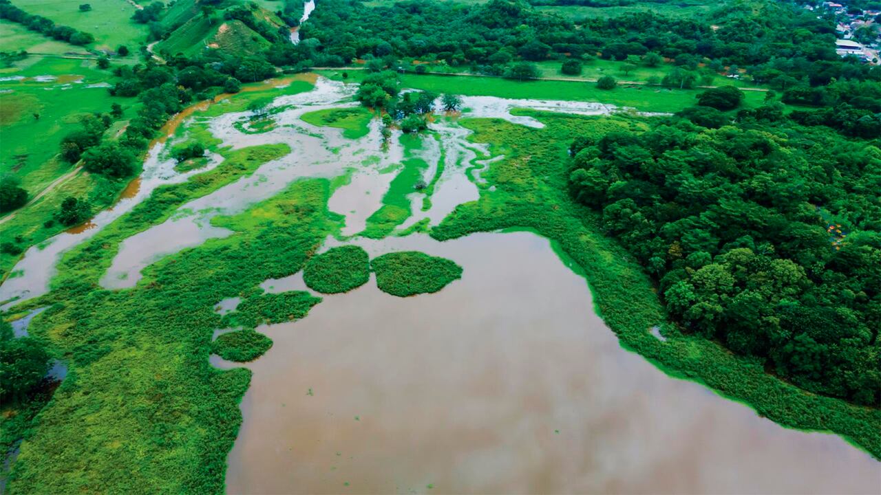 Contenido Comfama, Semana Sostenible