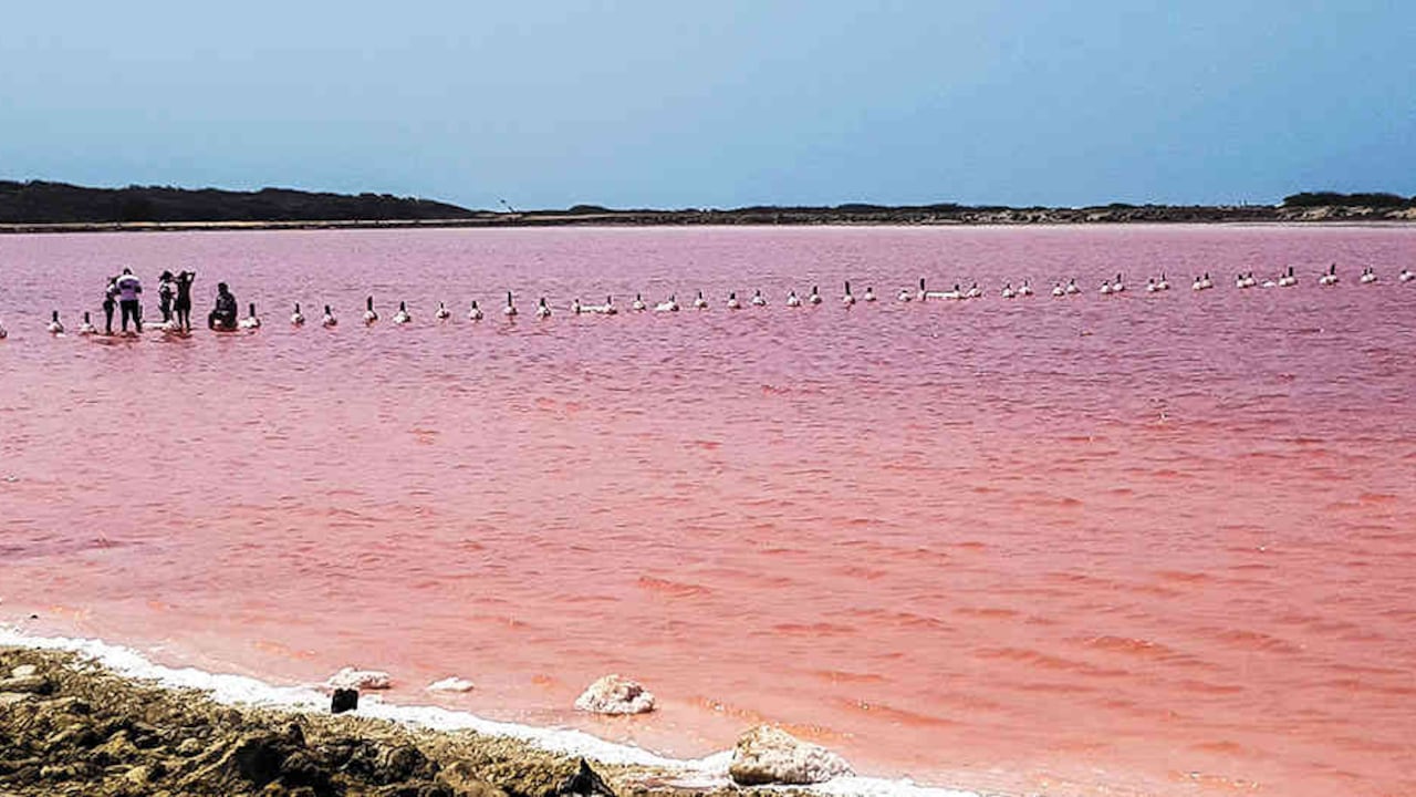 El fenómeno natural del mar rosado se produce en época de verano y marca el momento óptimo para extraer la sal.