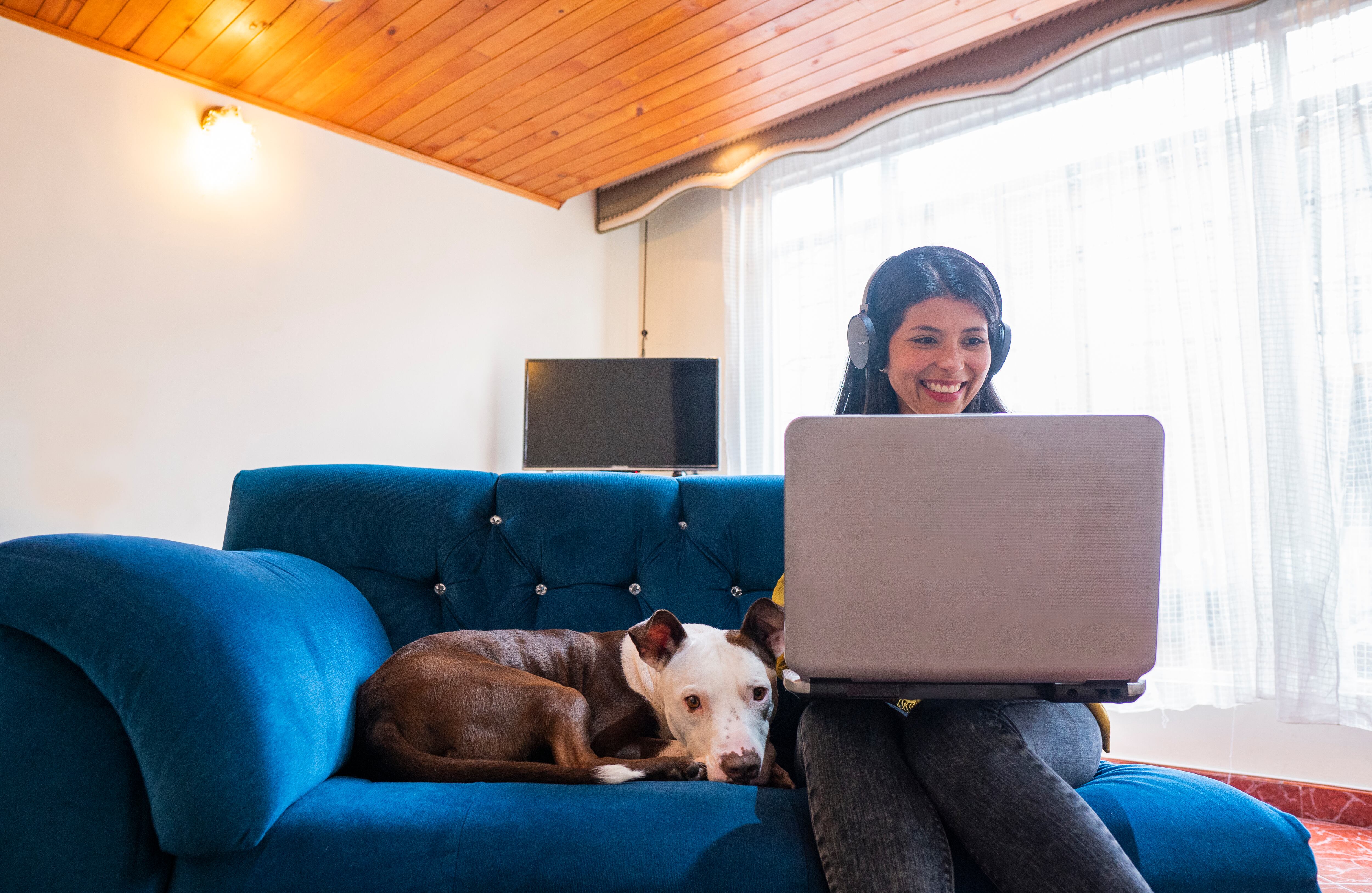 Los animales pasaron de quedarse solos 10 horas al día a tener compañía prácticamente las 24 horas.